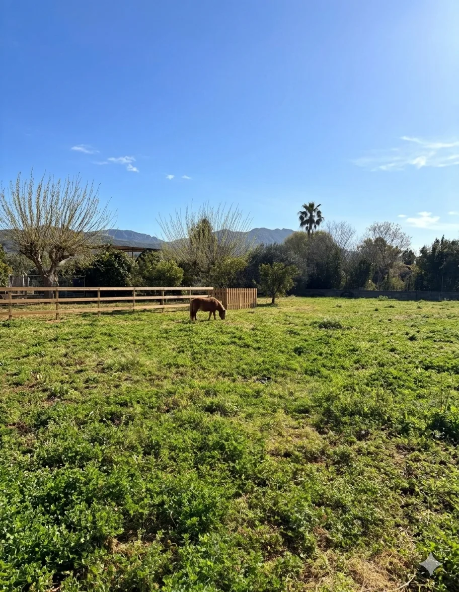 Ambiente tranquilo del santuario — acompañamiento inclusivo